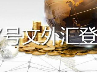 37號文登記解析：合規(guī)返程投資的重要步驟與要點(diǎn)