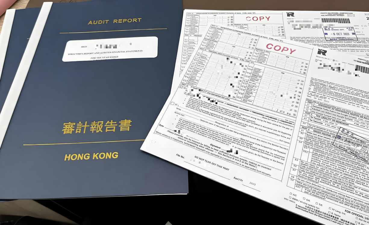香港公司審計報告樣本