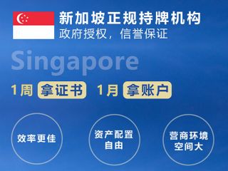 新加坡公司注冊(cè)全攻略：2025年最新政策與維護(hù)指南