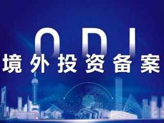 ODI境外投資備案，深入分析行業(yè)需求與潛力
