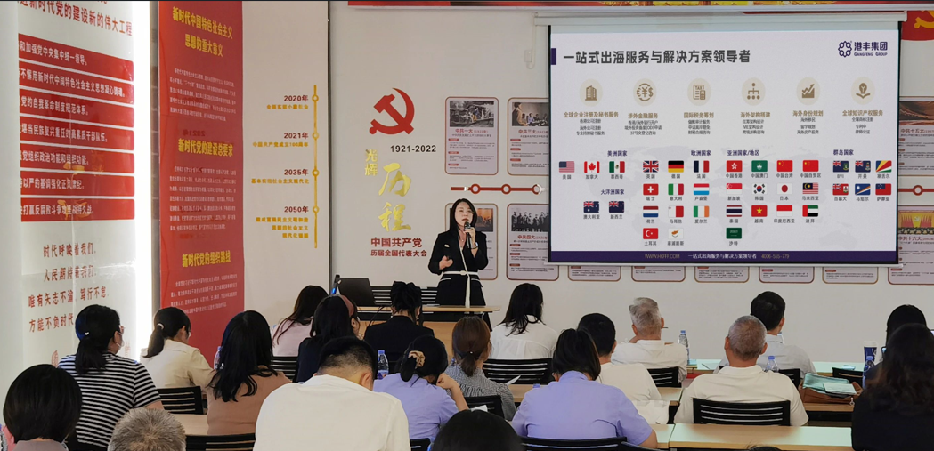 企業(yè)出海服務