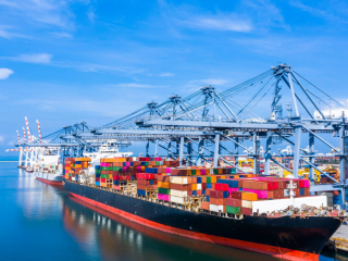 寵物品牌出海新機(jī)遇：歐洲“綠色革命”下如何掘金千億賽道？